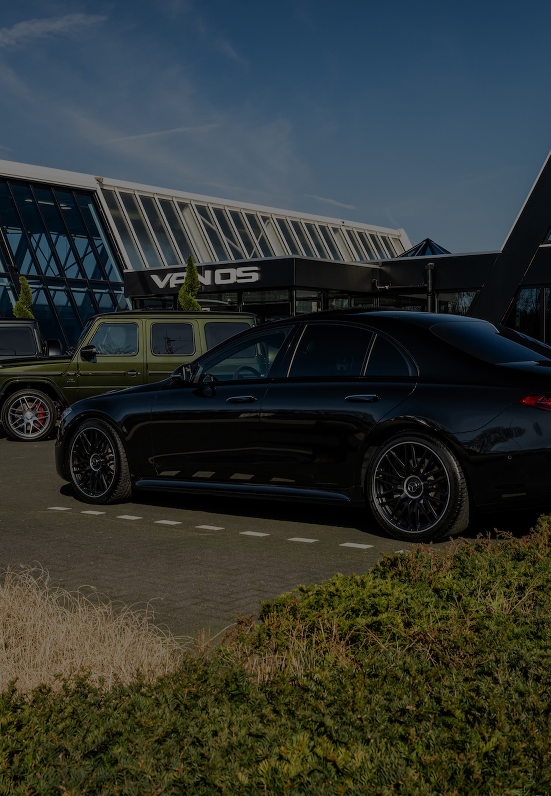 Article  Over ons | MorgenInternet B.V.